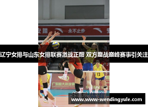 辽宁女排与山东女排联赛激战正酣 双方鏖战巅峰赛事引关注