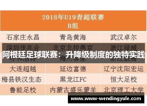 阿根廷足球联赛：升降级制度的独特实践